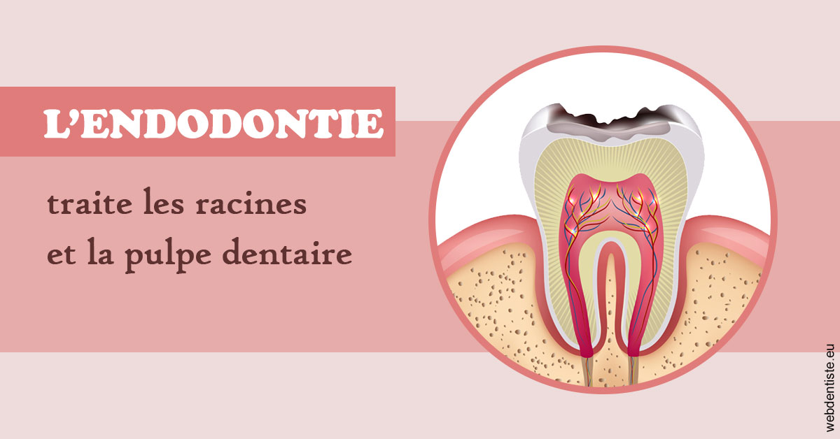 https://dr-rohr-marc.chirurgiens-dentistes.fr/L'endodontie 2