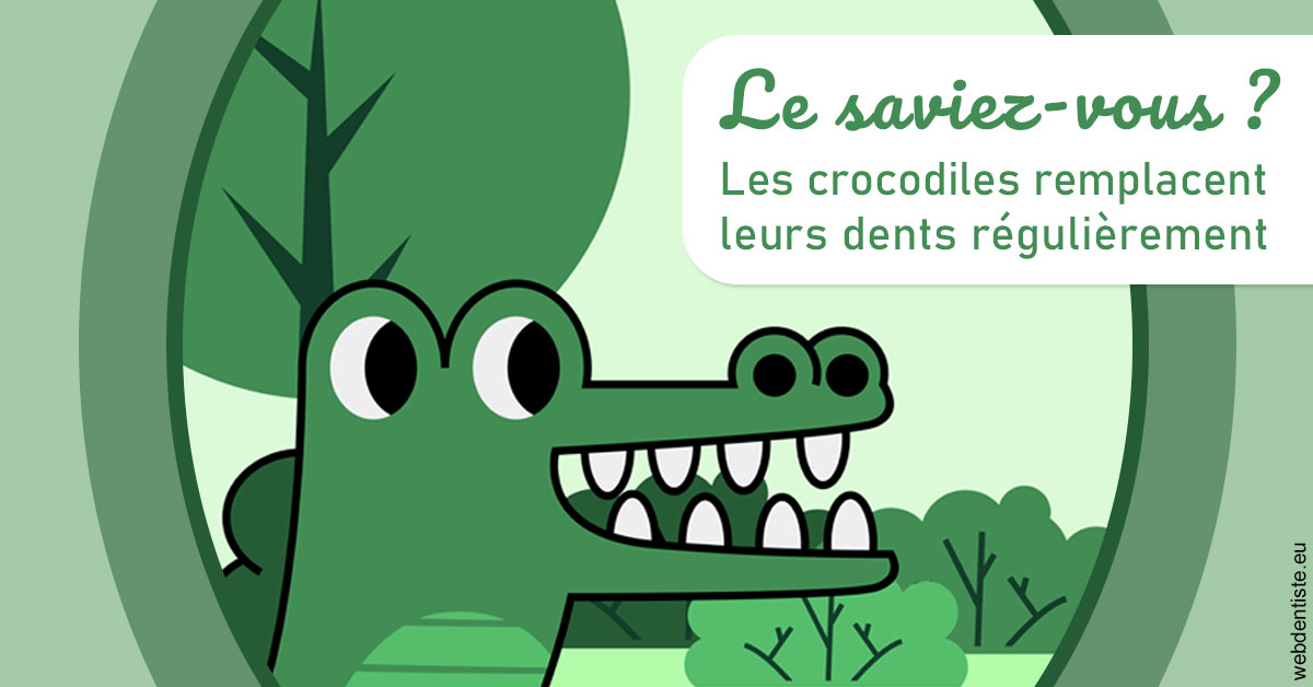 https://dr-rohr-marc.chirurgiens-dentistes.fr/Crocodiles 2
