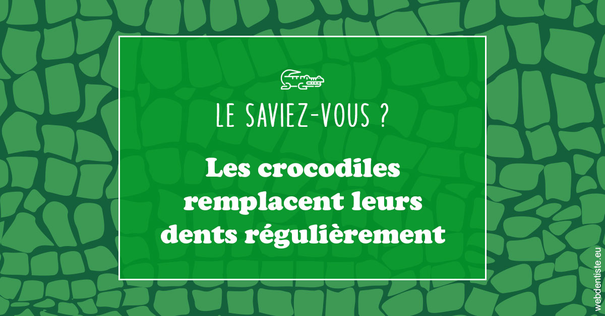 https://dr-rohr-marc.chirurgiens-dentistes.fr/Crocodiles 1